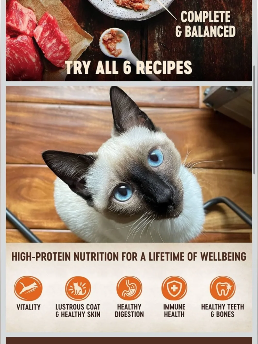 Wellness CORE Tiny Tasters Pate Variety Pack Adult Wet Cat Food 9 pouches